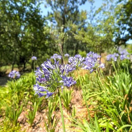 With Pool Near Douro Valley Vila Quintela