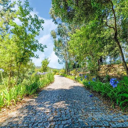 Villa With Pool Near Douro Valley Quintela