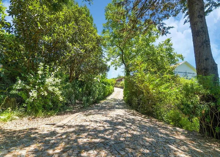 With Pool Near Douro Valley *